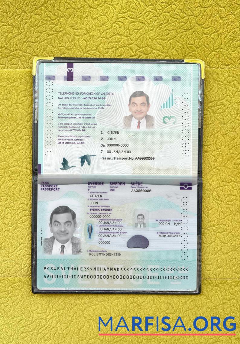Blank Sweden passport new 2022 present photolook example
